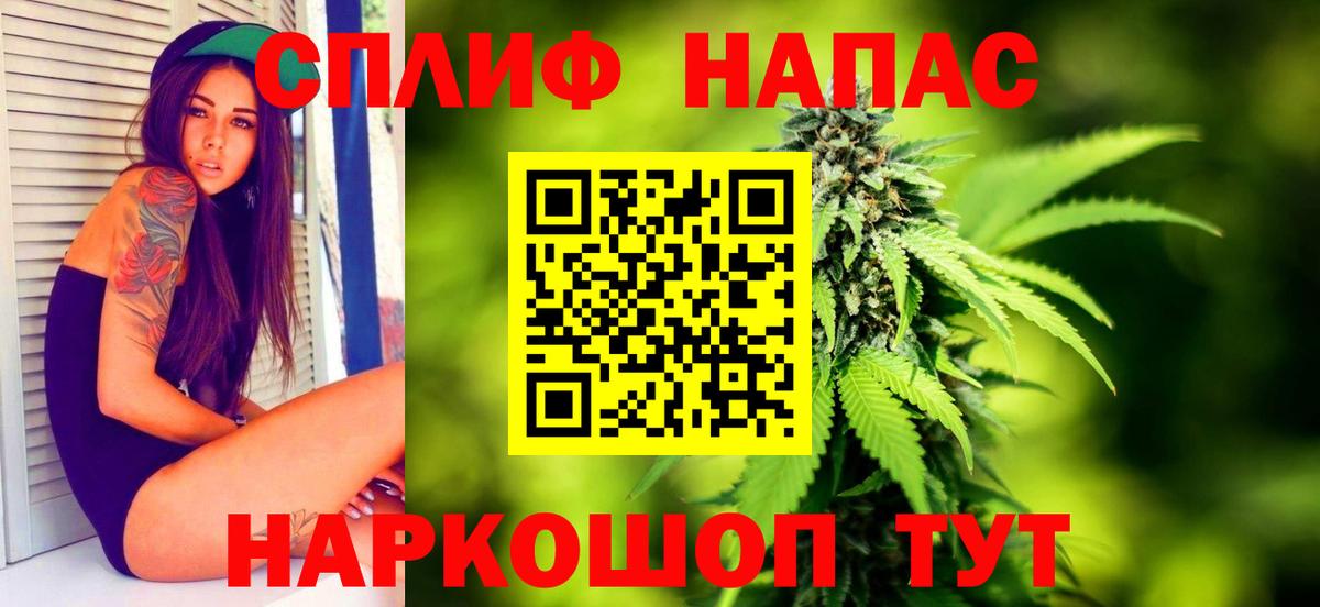 Каннабис SATIVA & INDICA Кувандык